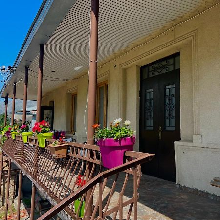 Guesthouse Kostava 72 卡兹贝吉 外观 照片
